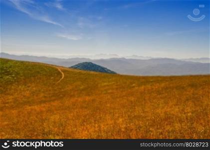 field on hillside in mountains in morning light