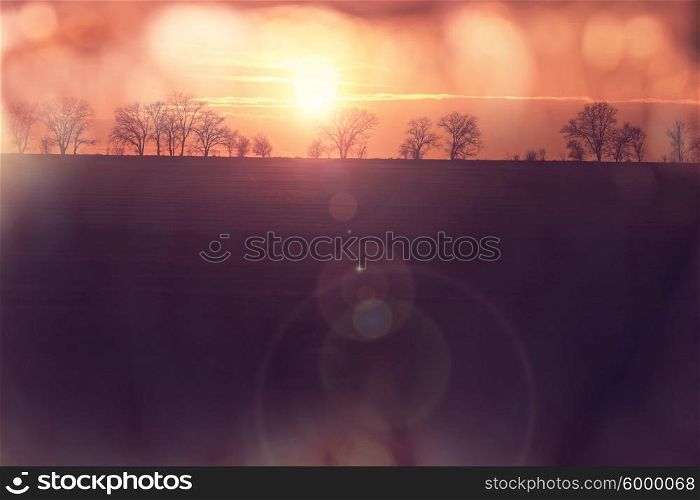 Field on sunset