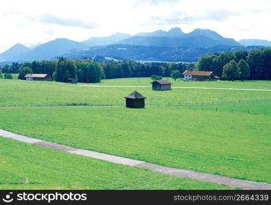 Field Scape