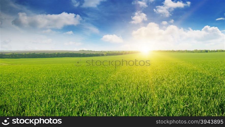 field, sunrise and blue sky