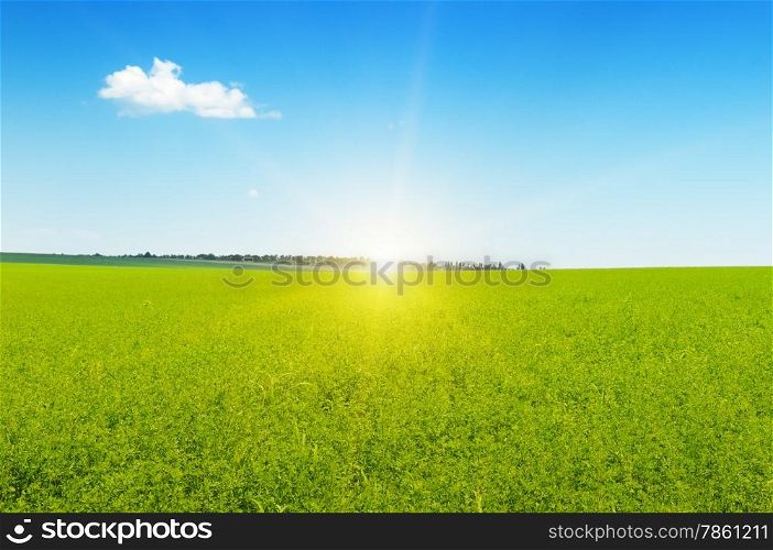 field, sunrise and blue sky