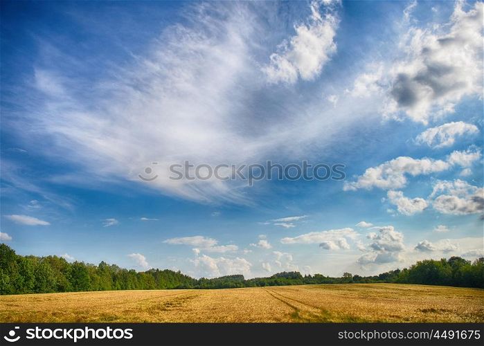 field under beautiful sky with clouds