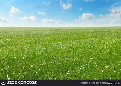 field with flowering flax and blue sky