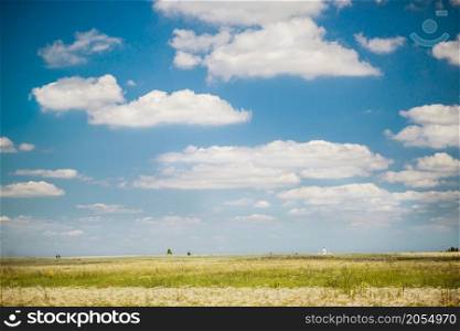 Field with flowers under blue cloudy sky. Field with flowers