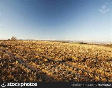 Field with furrows, with mountains and blue sky on the back, horizontal image