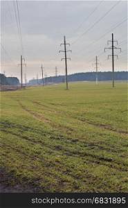 Field with green grass and power lines and behind them a forest