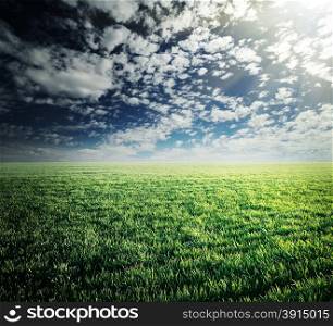 Field with green lush grass under cloudy sky
