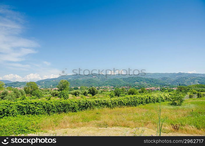 Field with mountains at background