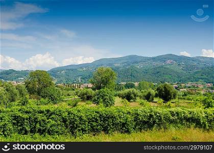 Field with mountains at background