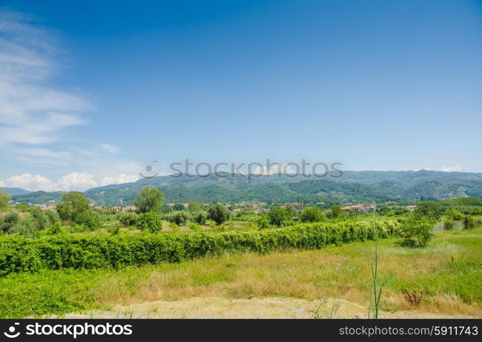 Field with mountains at background