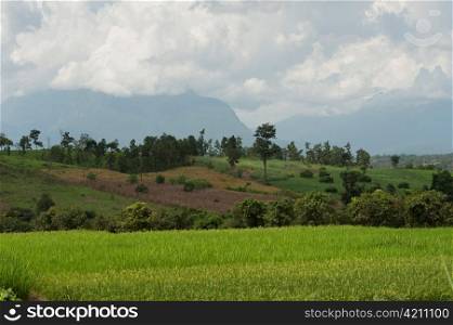 Field with mountains in the background, Chiang Dao, Chiang Mai Province, Thailand