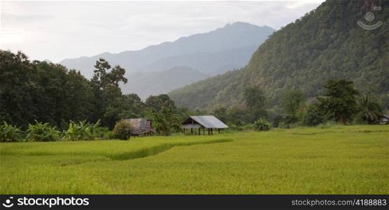 Field with mountains in the background, Thailand