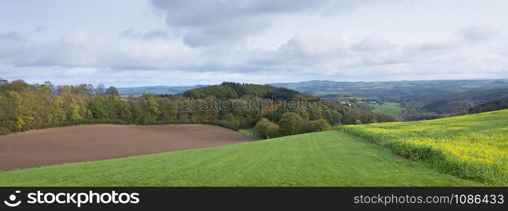 field with mustard seed and colorfull rural autumnal landscape in german eifel under cloudy sky