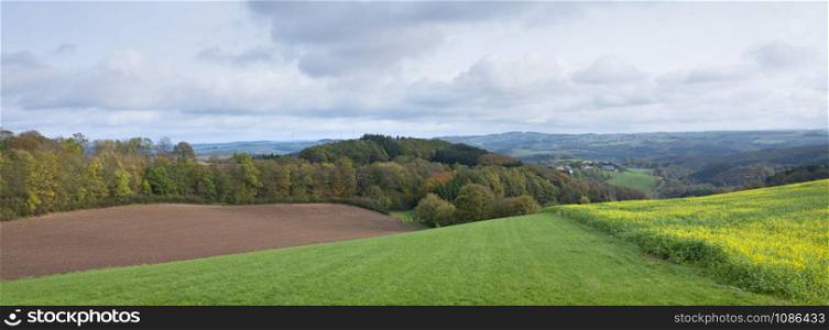 field with mustard seed and colorfull rural autumnal landscape in german eifel under cloudy sky