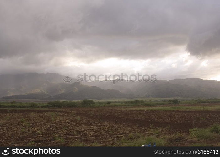 Field with Rainstorm