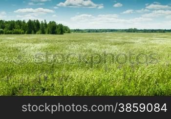 Field with waves
