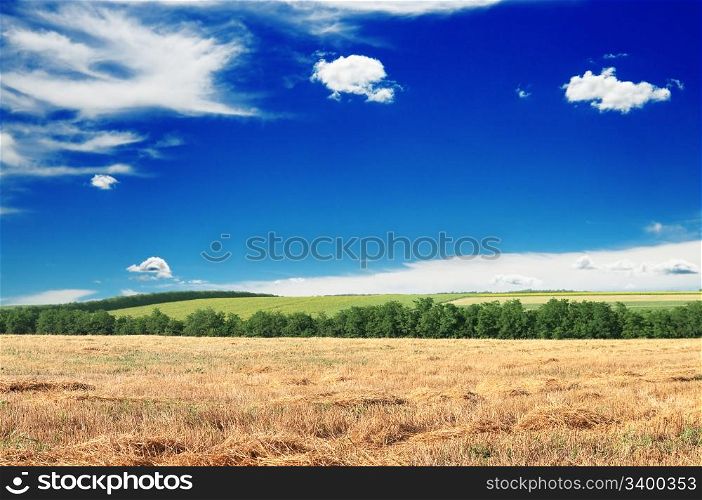 field, wood, blue sky and clouds