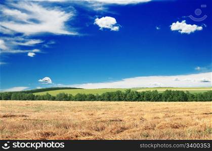 field, wood, blue sky and clouds