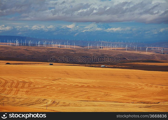 Fields