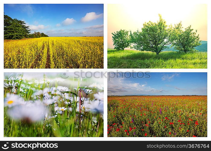 Fields