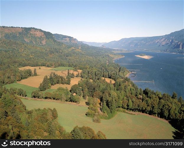 Fields and Forests in Columbia River Gorge