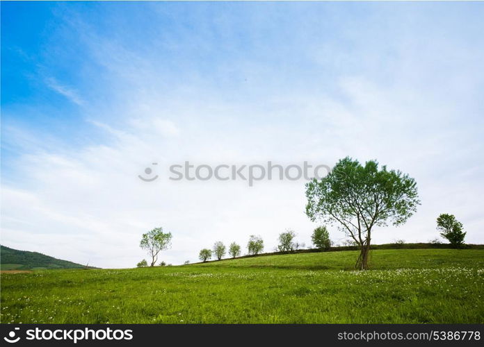 Fields and meadows in mountains and sky