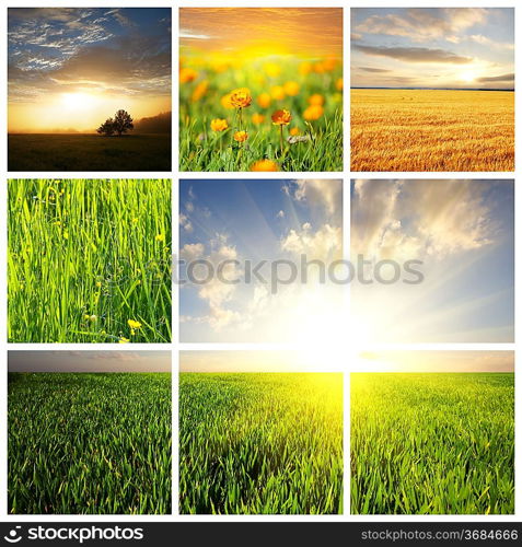 fields collage