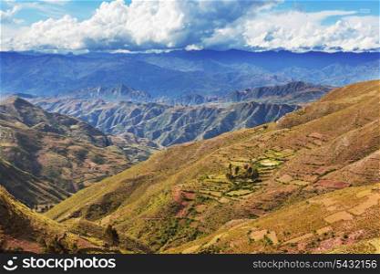 fields in Bolivia