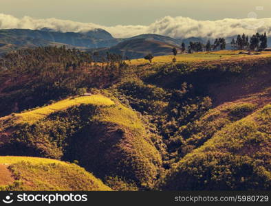 Fields in Bolivia