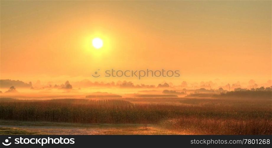 Fields in fog after sunrise