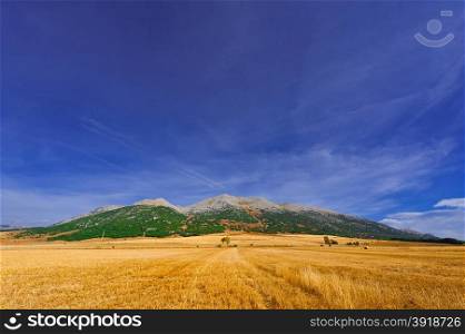 Fields in the Cantabrian Mountain, Spain