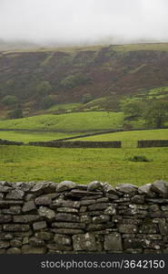 Fields in Yorkshire Dales, Yorkshire, England