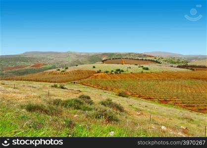 Fields of Galilee in Israel
