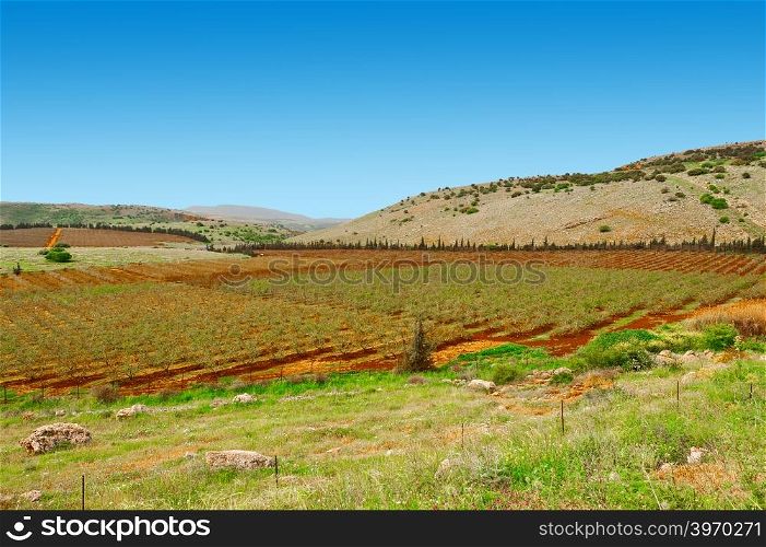 Fields of Galilee in Israel