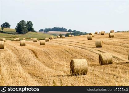 Fields of haystacks in the countryside of Gerouville near Virton in the province of Luxembourg in Belgium.Europe