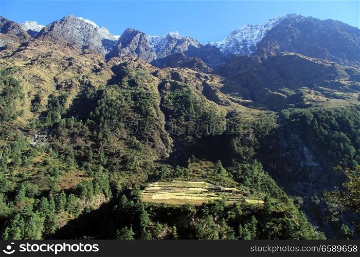Fields on the slope of mount in Nepal