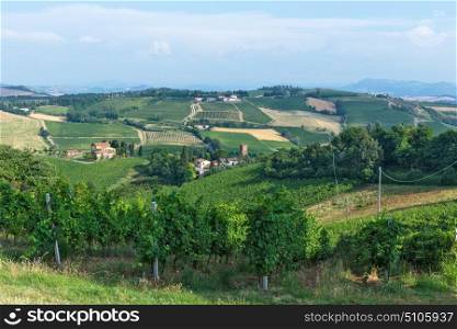 Fields with vineyards, Italian landscape in Tuscany