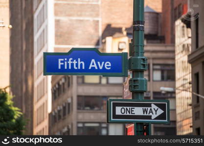 Fift avenue blue sign 5 th Av New York Mahnattan USA