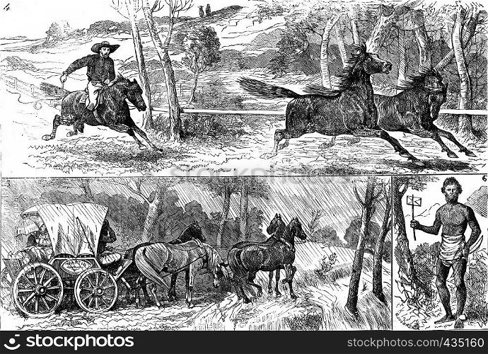 Fig 4 the race for wild horses, Fig 5 the coach stopped by ice water, fig 6 the bearer of native letters, vintage engraved illustration. Journal des Voyages, Travel Journal, (1879-80).