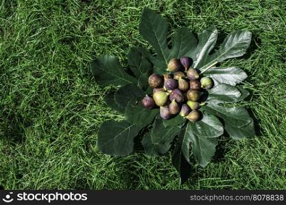 Figs on green leaf. Grass