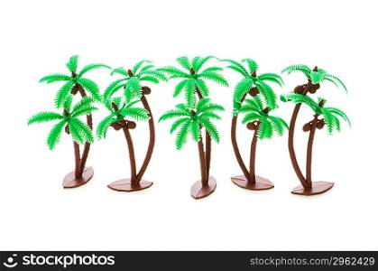 Figure of palm tree isolated on white
