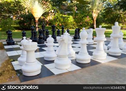 Figures for game in chess on the nature