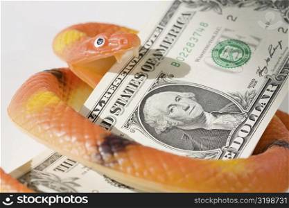 Figurine of a snake wrapped around US paper currency