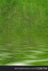 fild of fresh green grass and water
