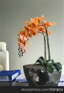 file with orange orchid and headmaster&rsquo;s arm in vase