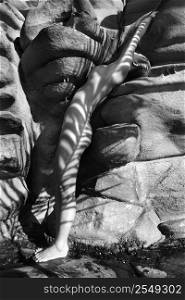 Filipino young nude woman standing against rock with palm shadow.