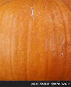Filled frame of real pumpkin skin for Thanksgiving or Halloween holiday background