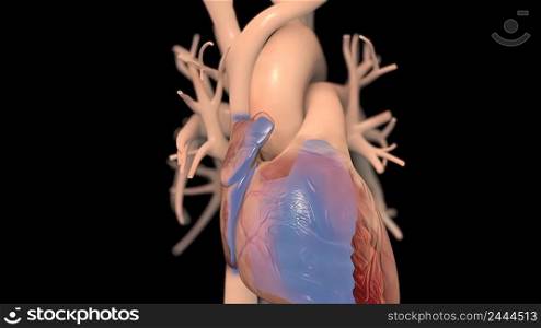 Filling the chamber of the heart with oxy≥n 3d illustration. Filling the chamber of the heart with oxy≥n