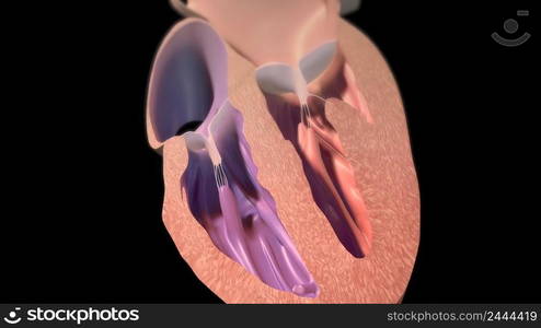 Filling the chamber of the heart with oxygen 3d illustration. Filling the chamber of the heart with oxygen