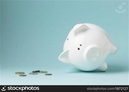 finance elements with white piggy bank. High resolution photo. finance elements with white piggy bank. High quality photo